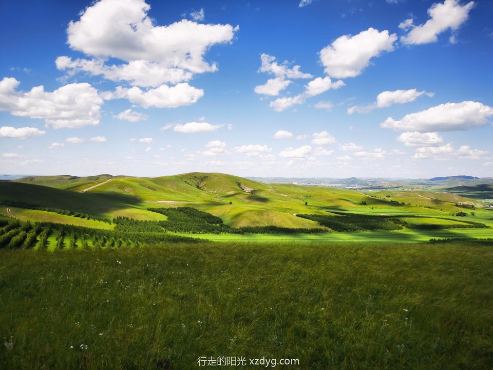 mmexport1627824192135