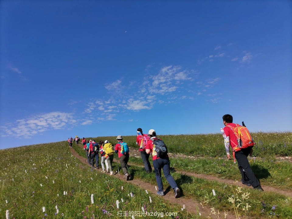 mmexport1627823912550