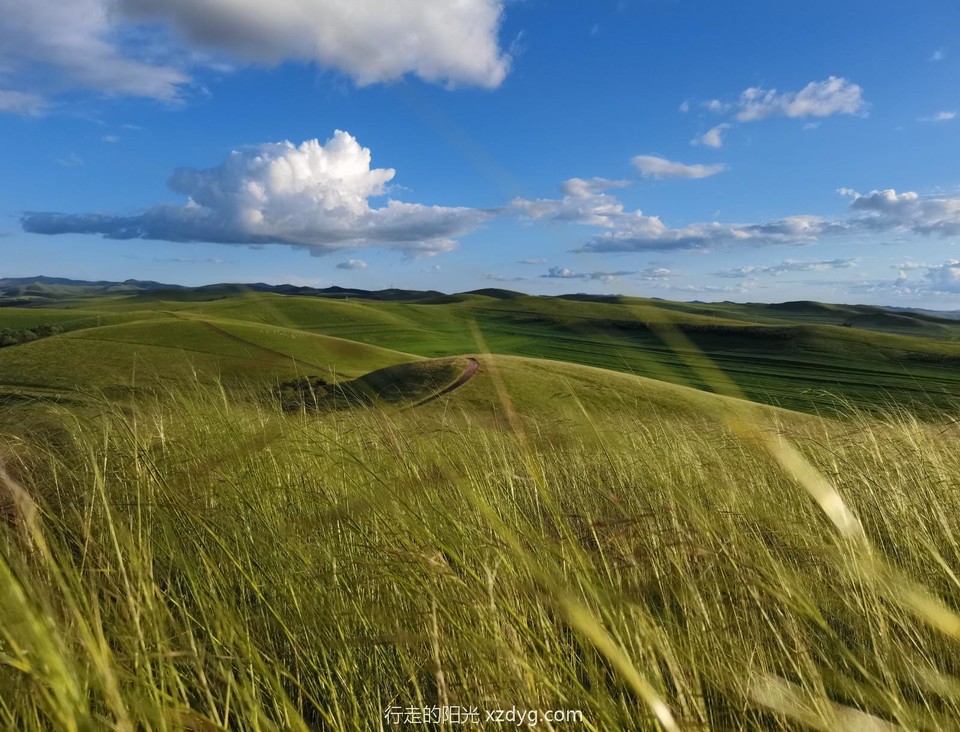 mmexport1627823035956