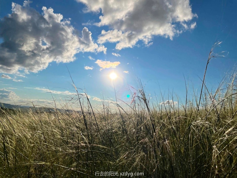 mmexport1627822917720