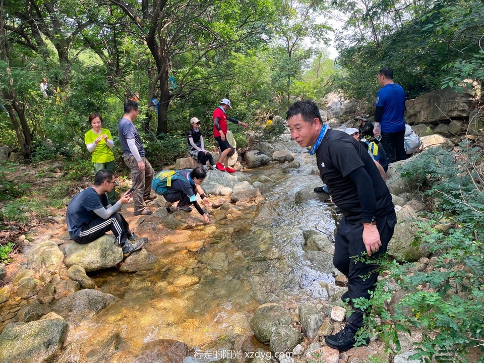 mmexport1628416252850