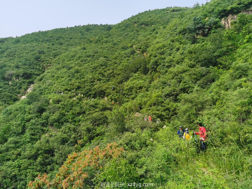 mmexport1628416339732