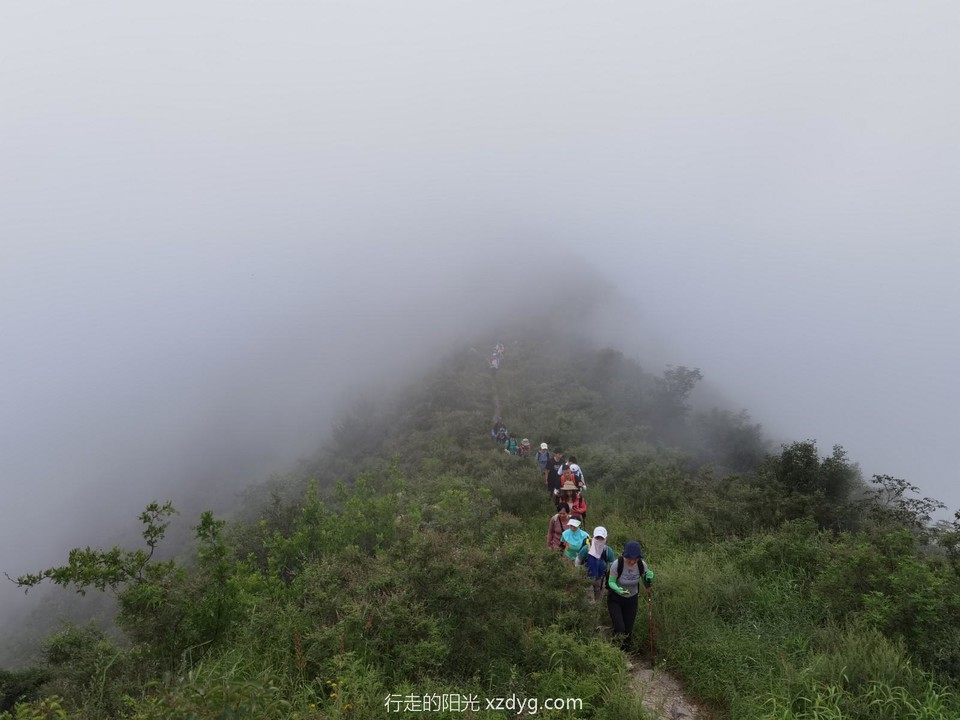 mmexport1629013546423