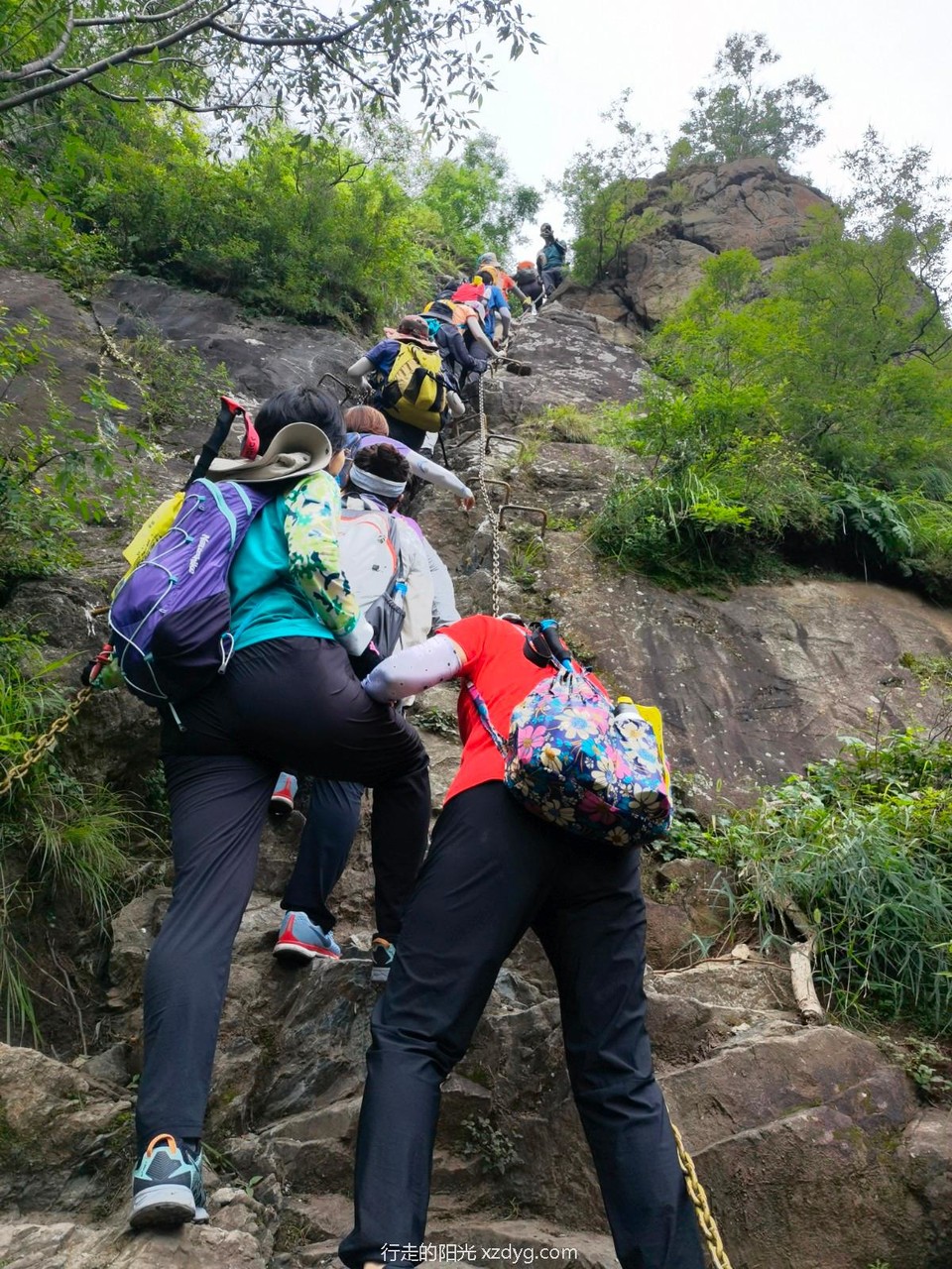 mmexport1629093587607