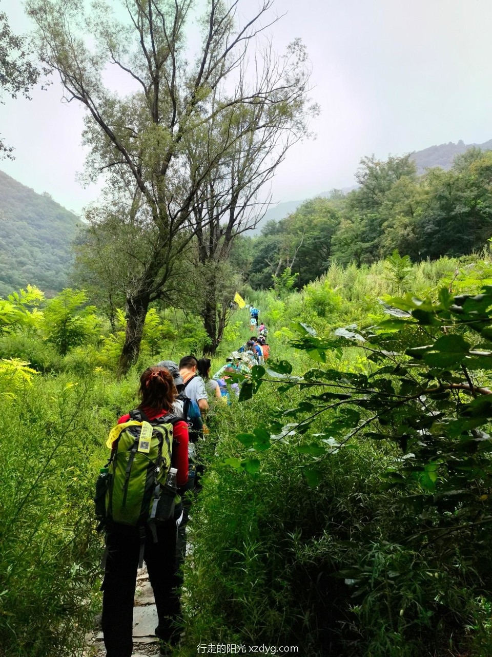 mmexport1629093506567