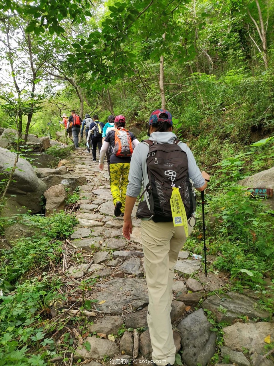 mmexport1629094096281