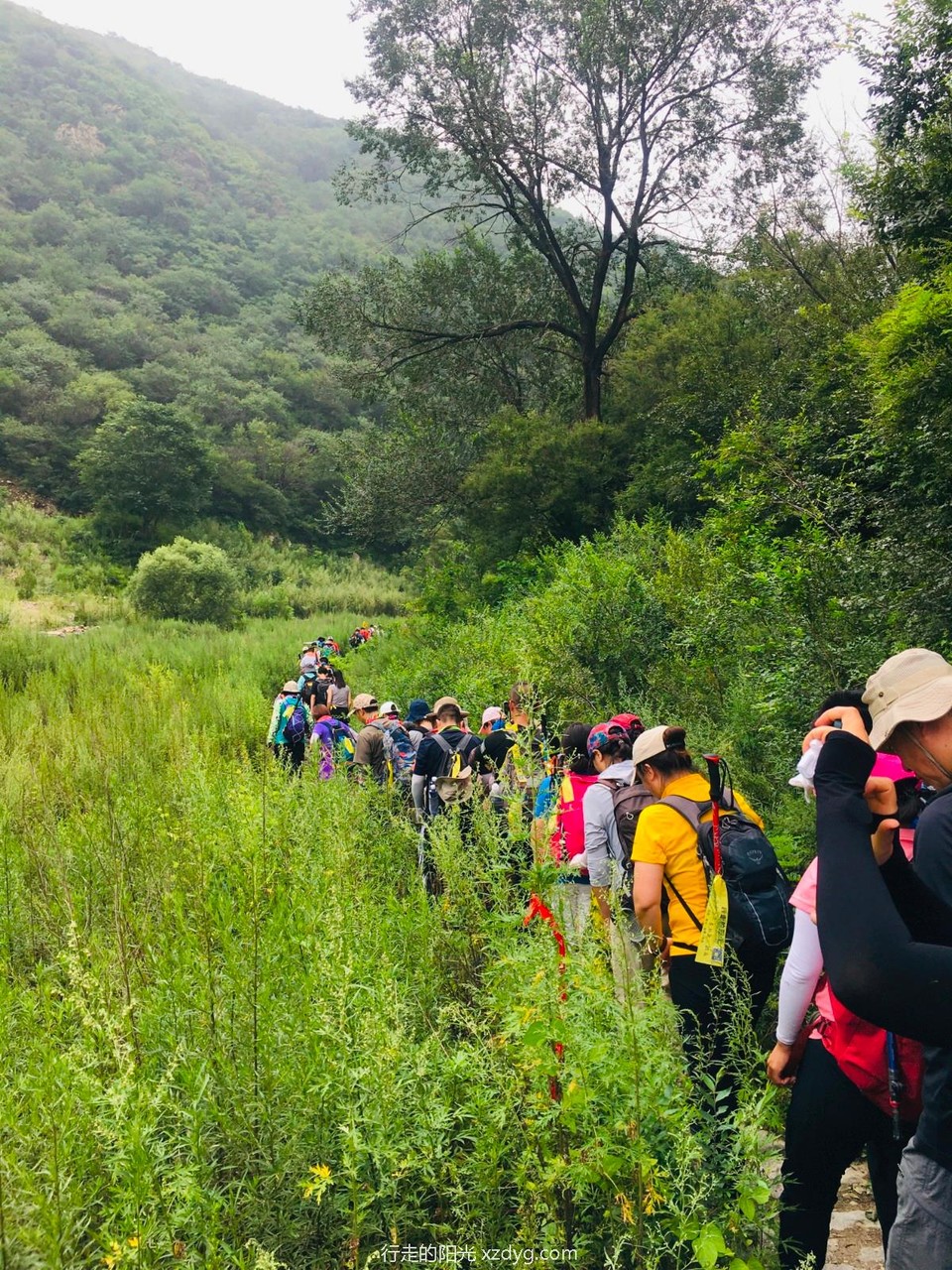 mmexport1629094224400