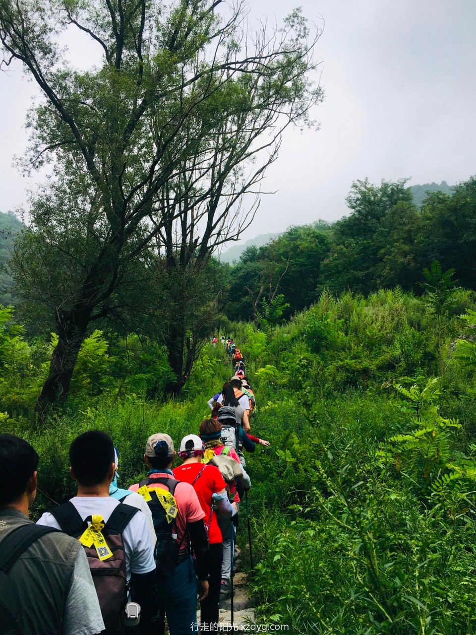 mmexport1629094236010