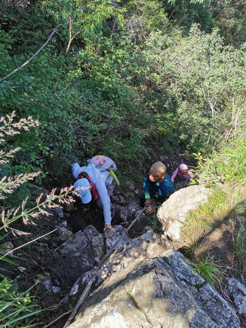 mmexport1629694002782