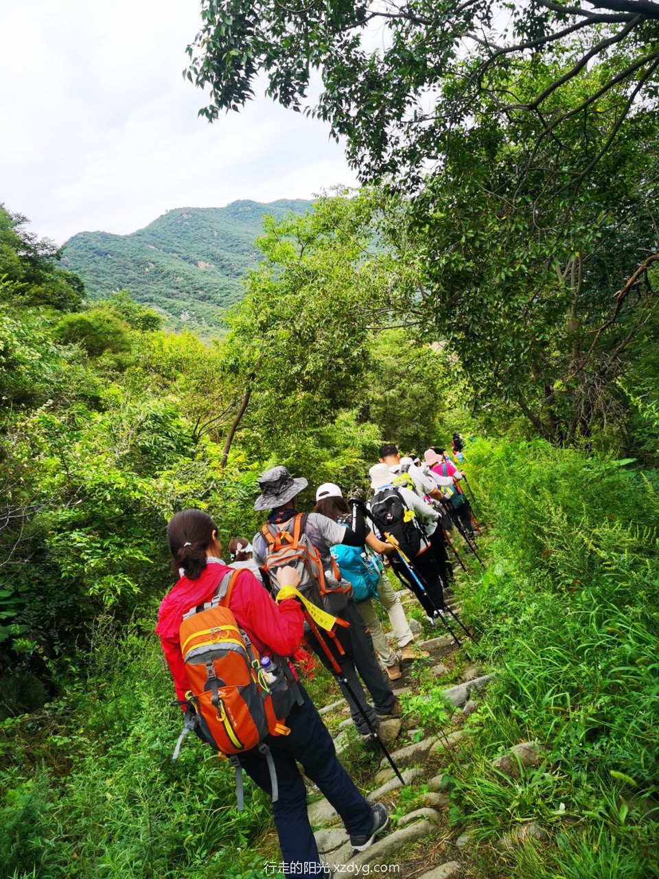 mmexport1630292941130