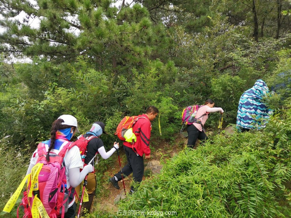 mmexport1630231566221