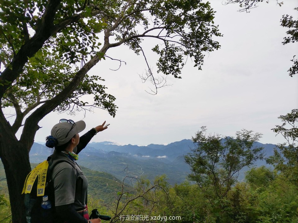 mmexport1630231530518