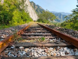 mmexport1631422309445