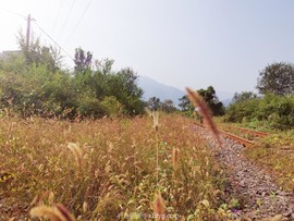 IMG_20210911_100117_edit_440495596251531