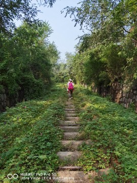 mmexport1631439145301