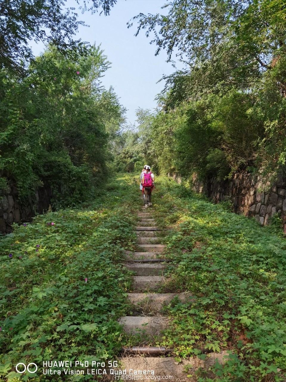 mmexport1631439145301