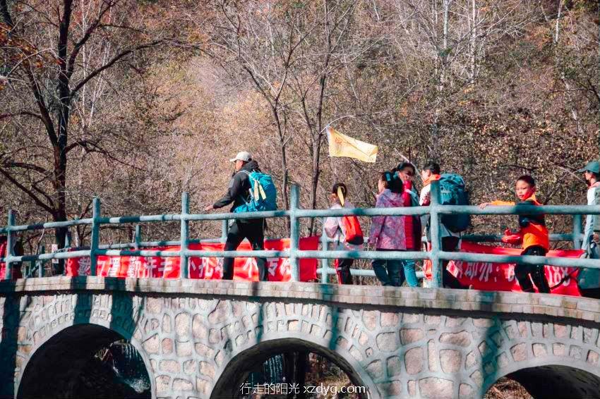 mmexport51a9743dbd500ea910da5b1b009aac15_1634525875595