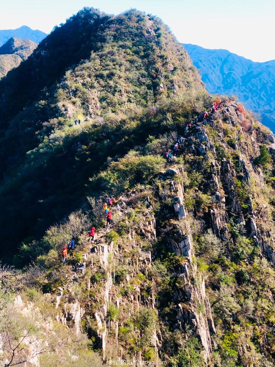 mmexport1634519679799