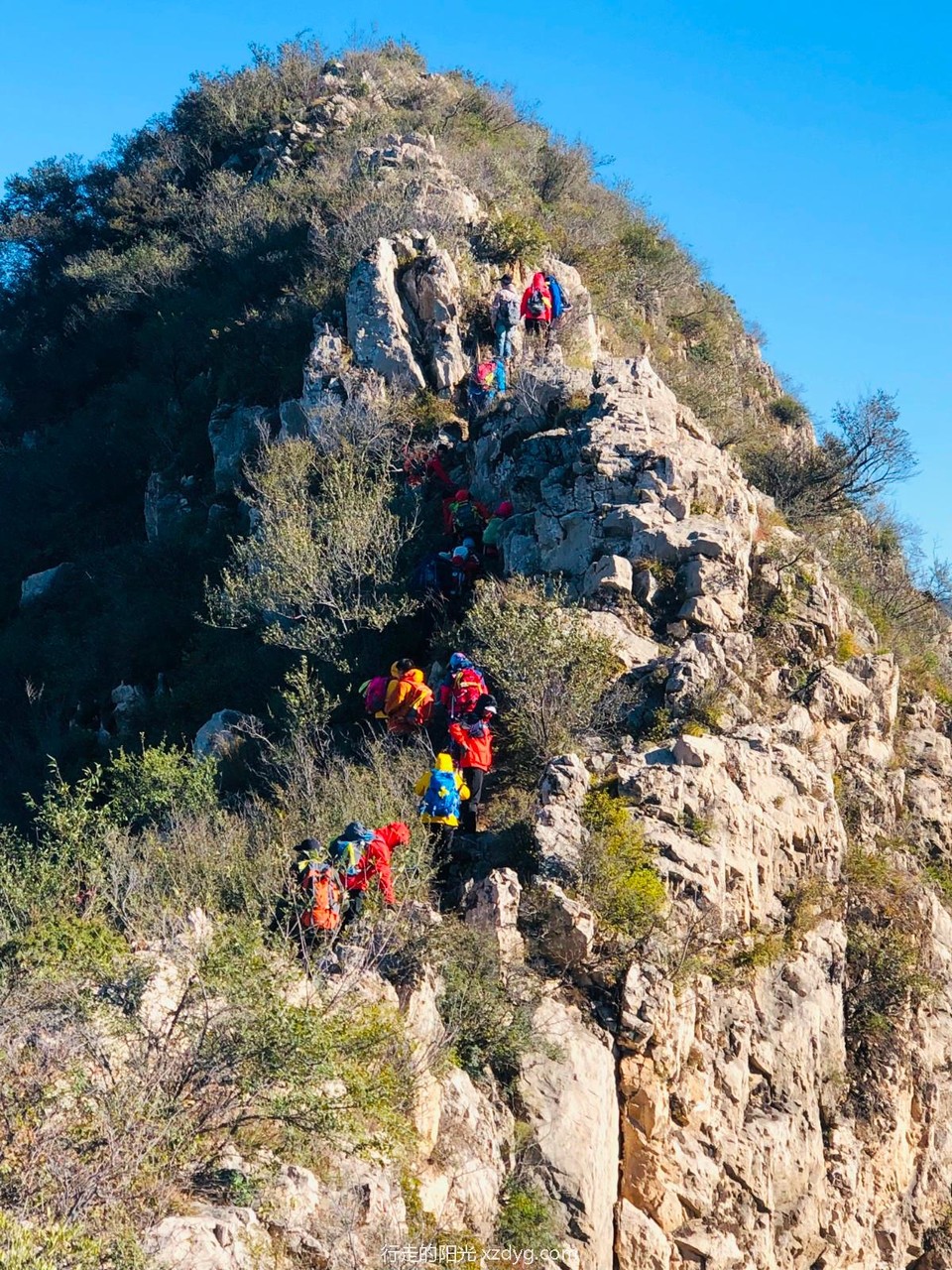 mmexport1634519650515