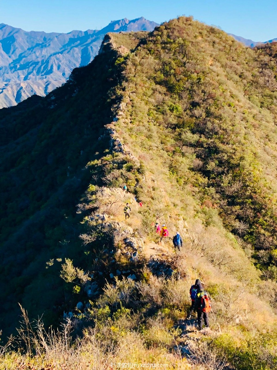 mmexport1634519620661