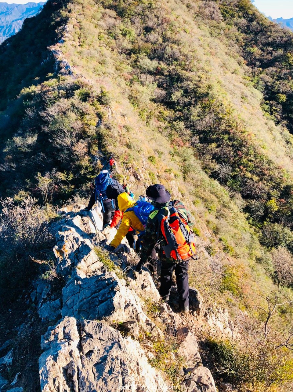 mmexport1634519593523