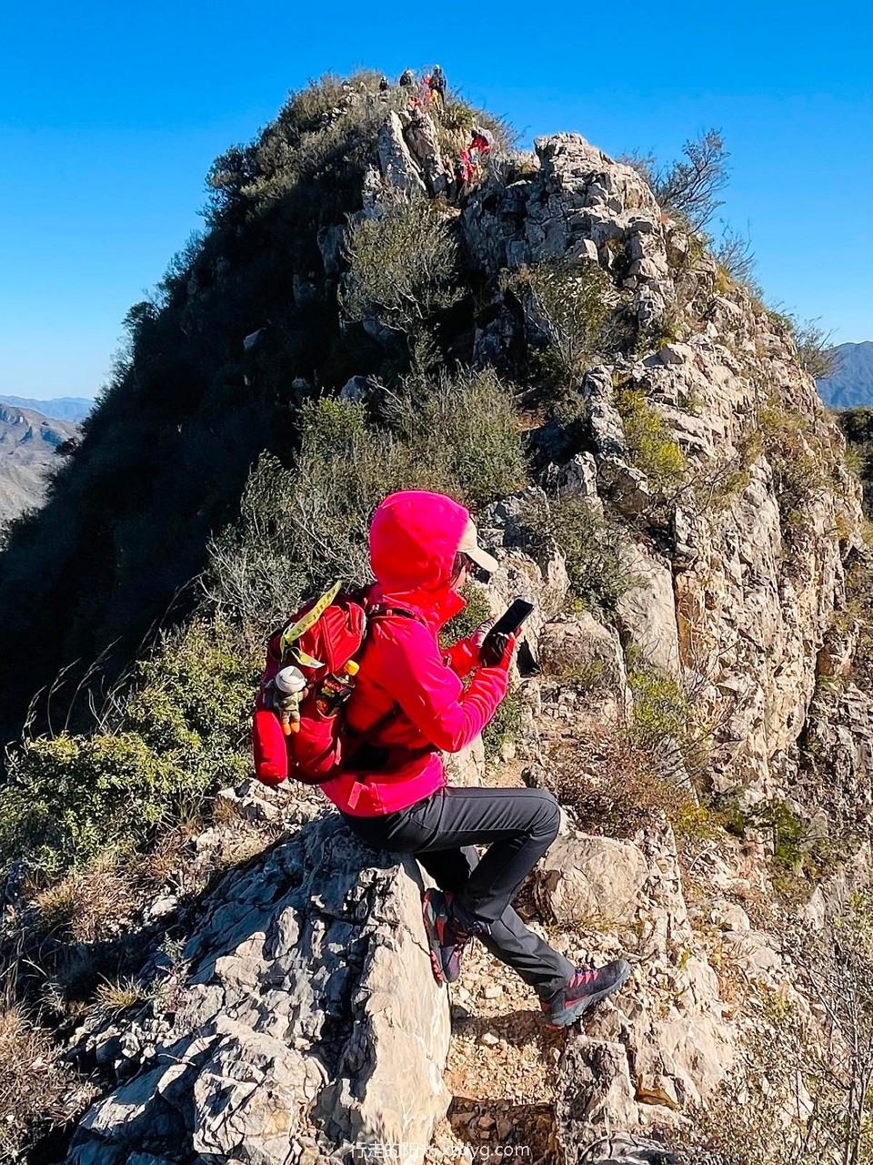 mmexport1634519539486