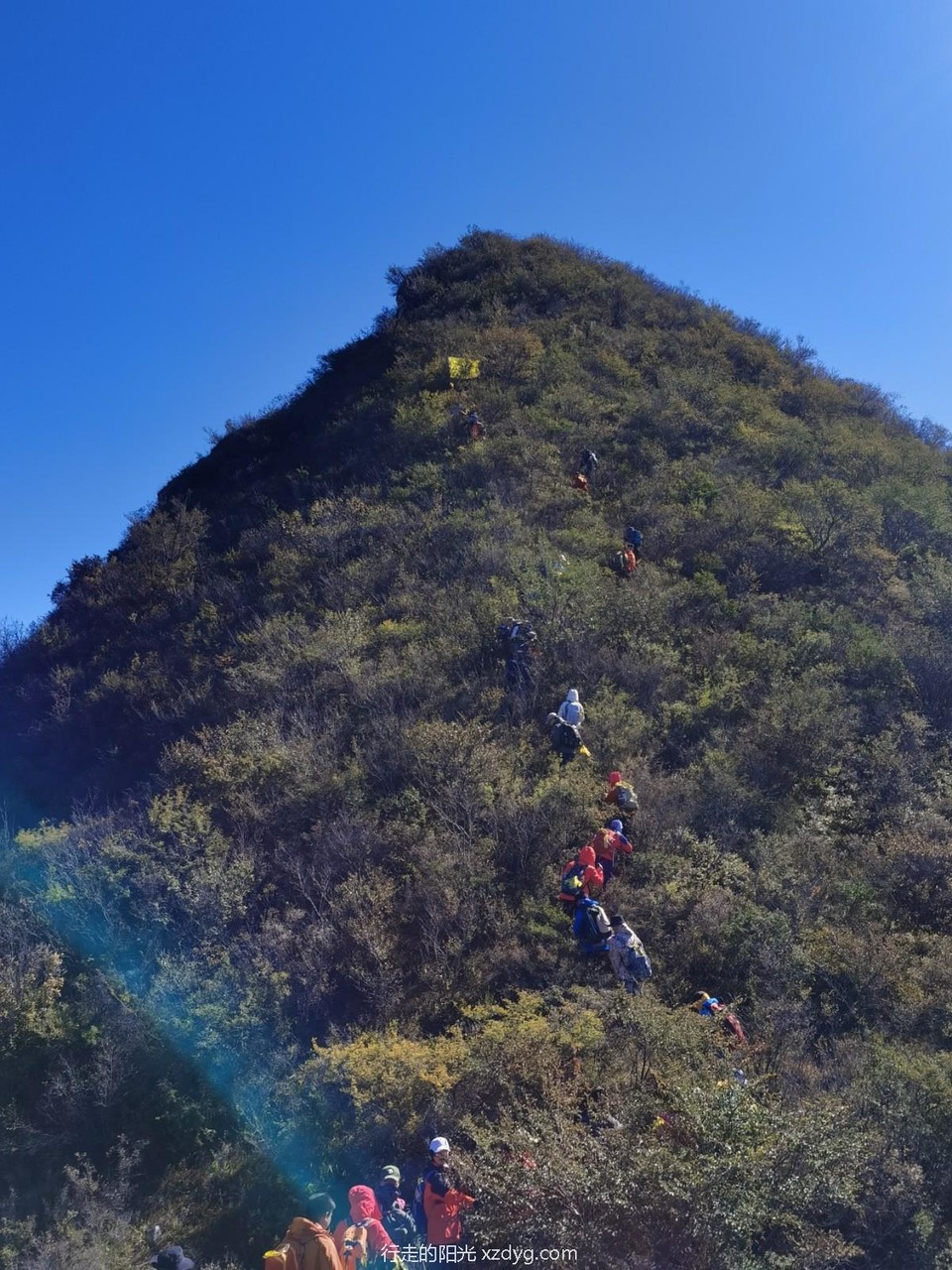 mmexport1634519502298