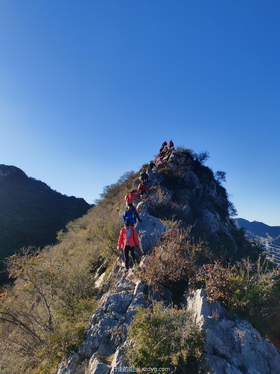 mmexport1634519417942