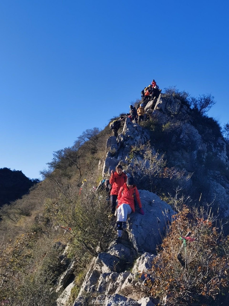 mmexport1634519405790