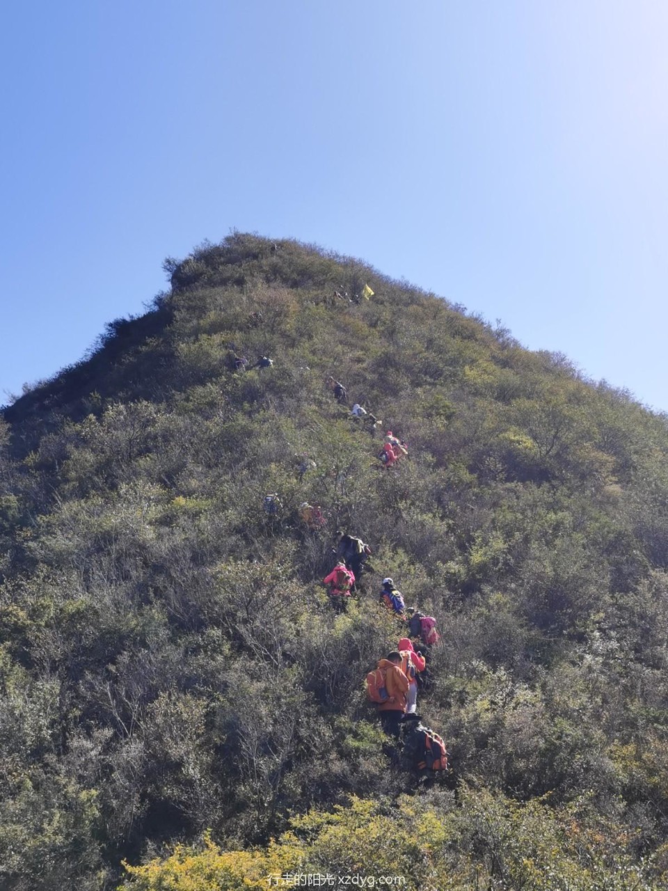 mmexport1634519314356