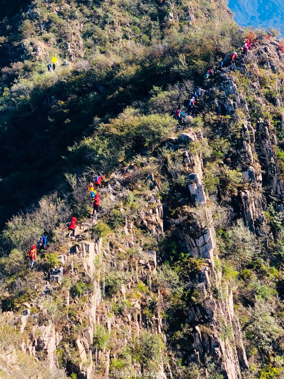 mmexport1634519154509