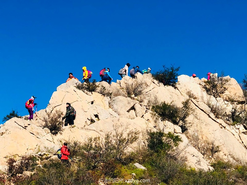 mmexport1634470332021