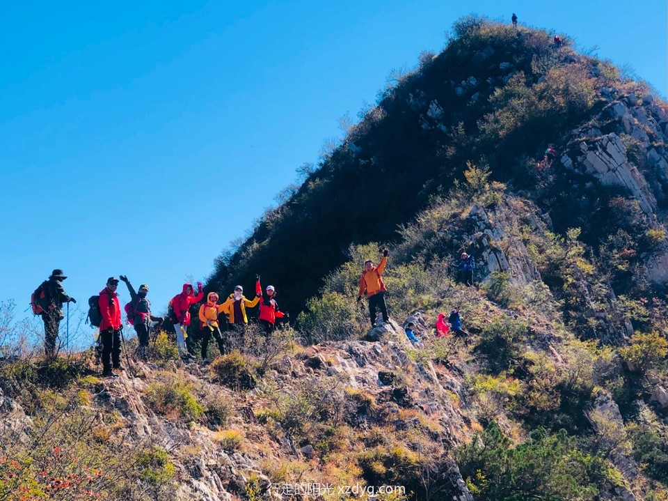 mmexport1634470020892