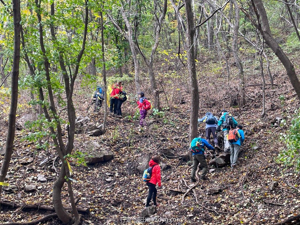 mmexport1633919758556