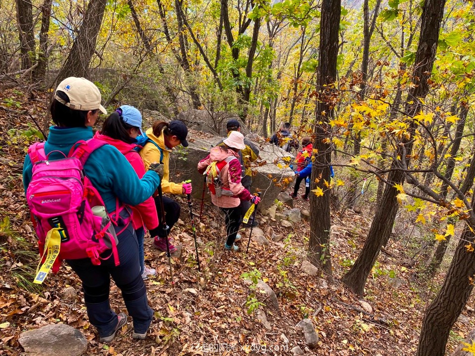 mmexport1633919710950