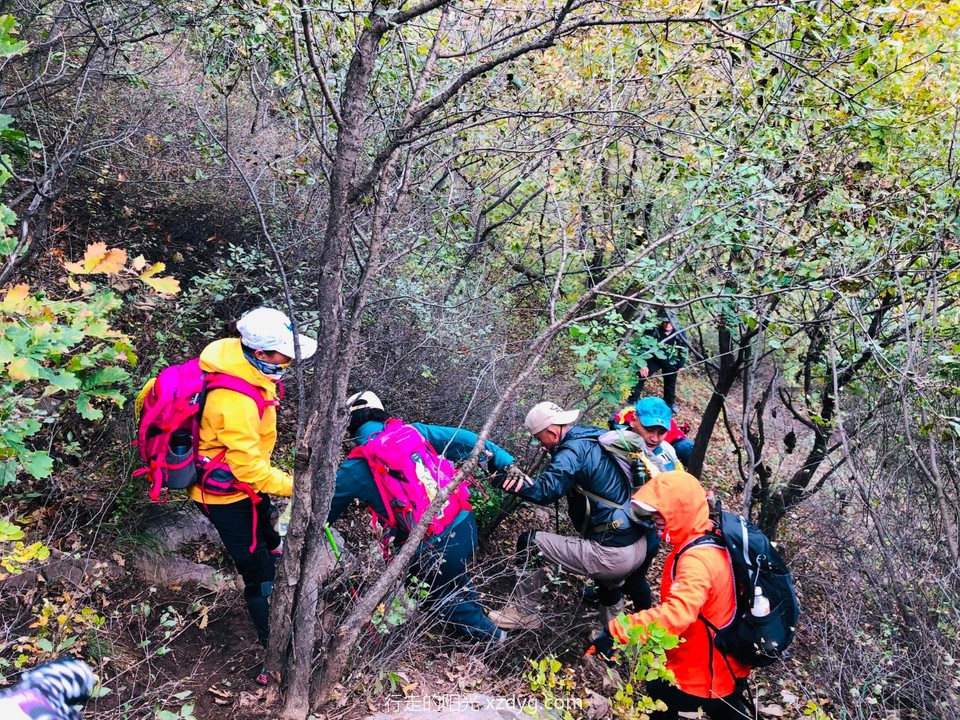 mmexport1633919653881