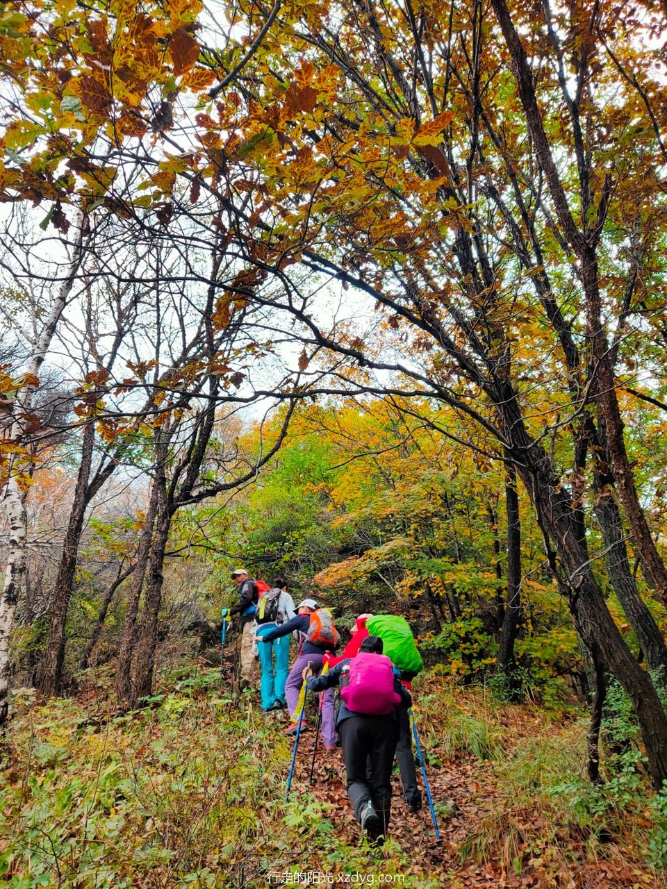 mmexport1633497393340