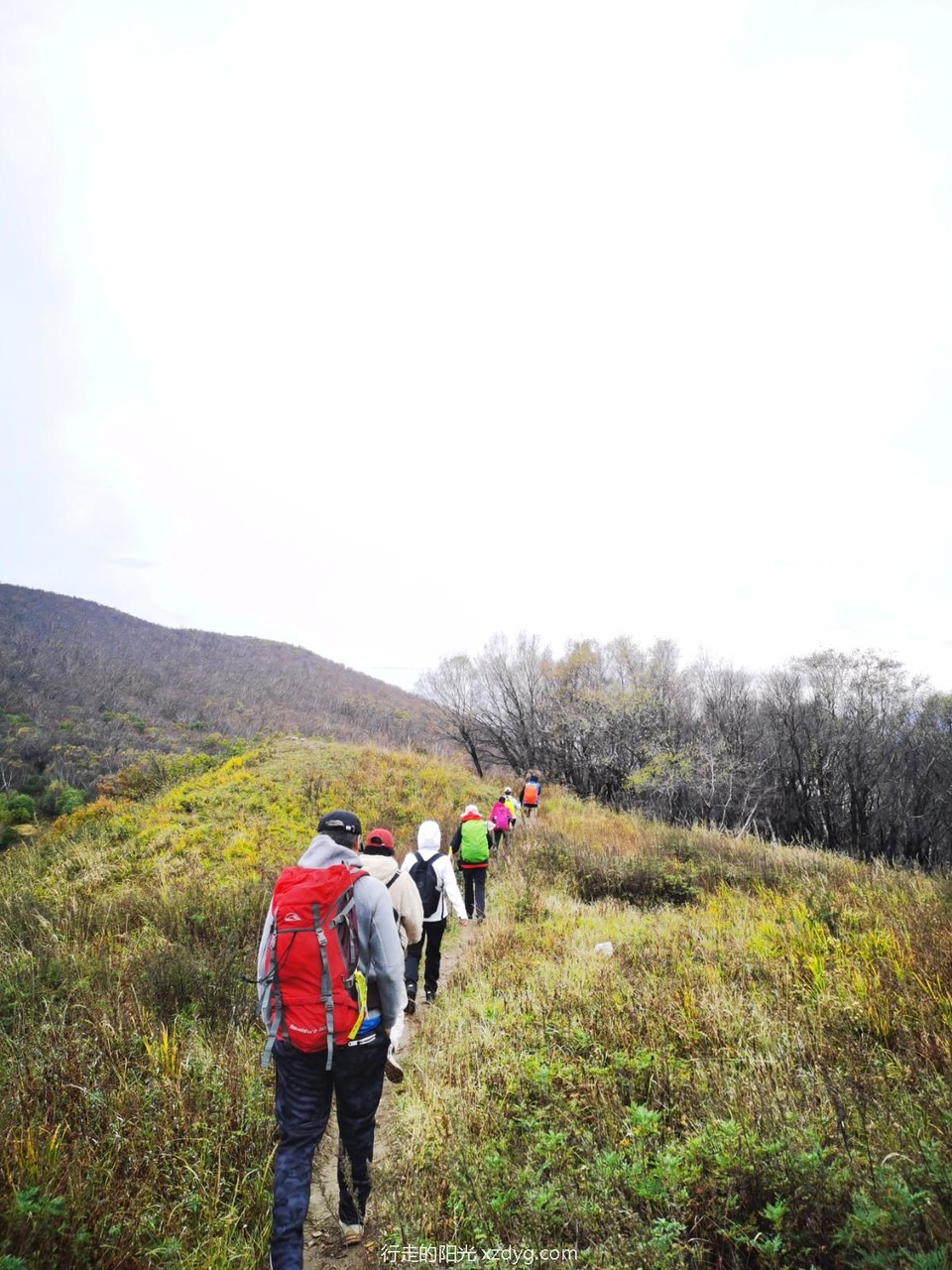 mmexport1633497295778