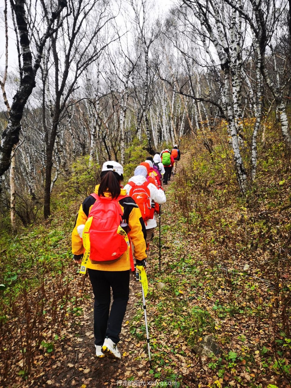 mmexport1633497254521