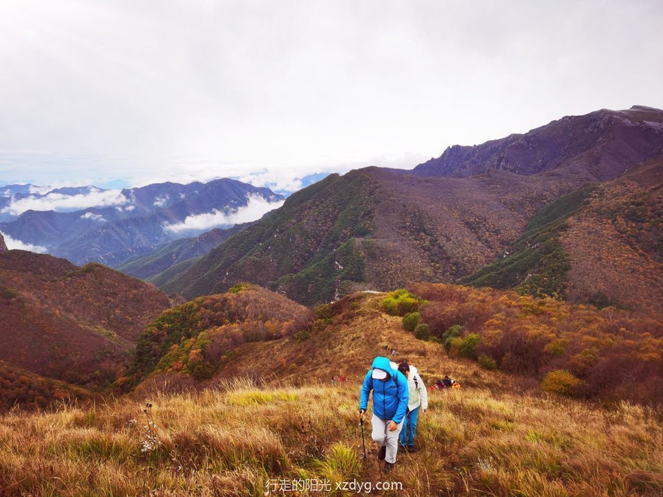 mmexport1633442176559_edit_303340719426108