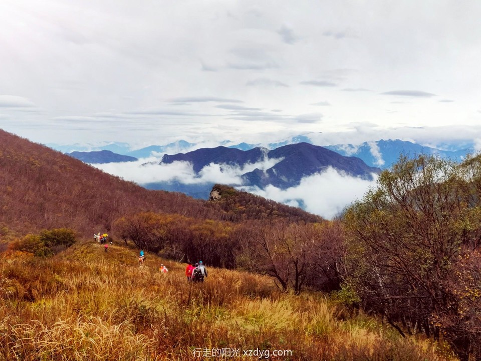 mmexport1633442202285_edit_303357038426626