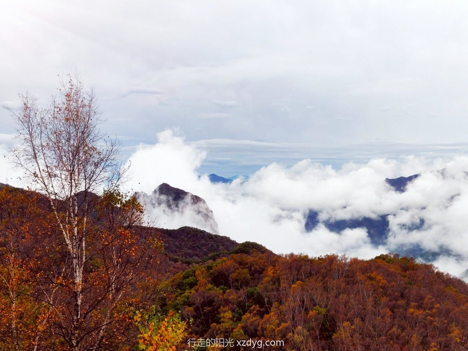 mmexport1633442288511_edit_303371856516207