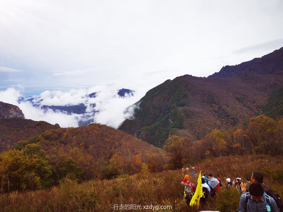 IMG_20211005_121302_edit_303389192230267