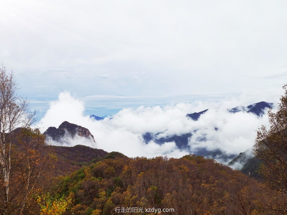 IMG_20211005_120810_edit_303400653844328