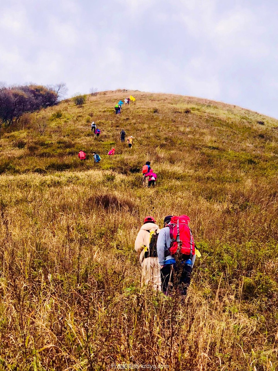 mmexport1633497191526