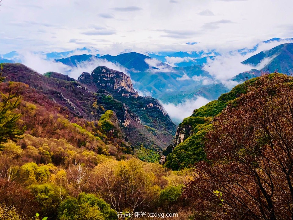 mmexport1633442409242