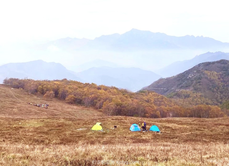 mmexport1633266188797_edit_224963028962025