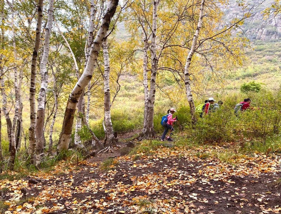 mmexport1633308288909_edit_224803815521425