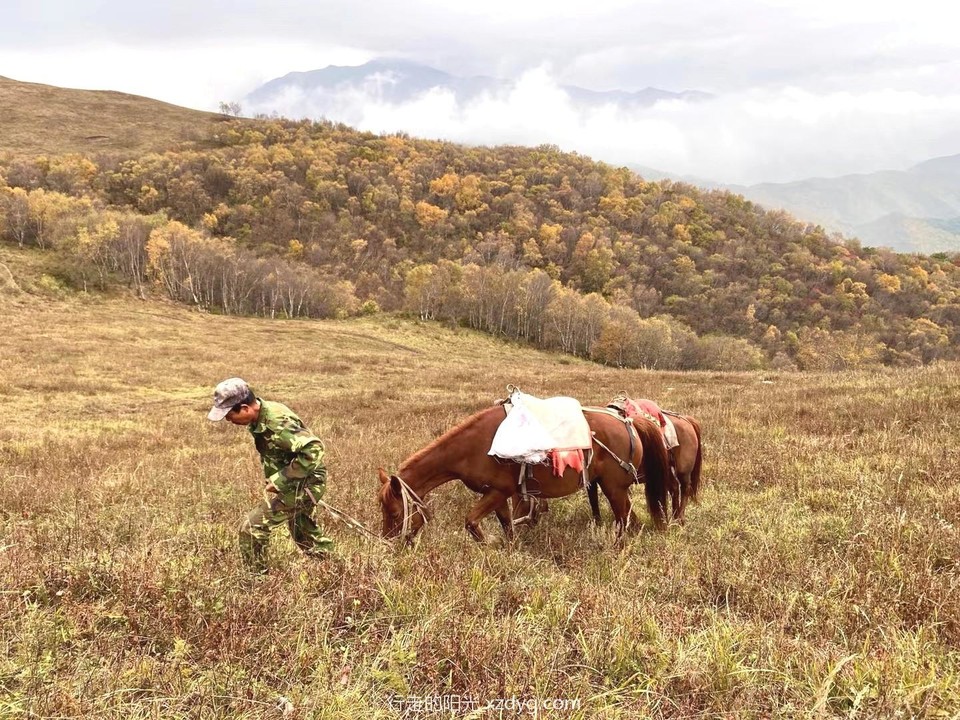 mmexport1633266183949_edit_224784824564657