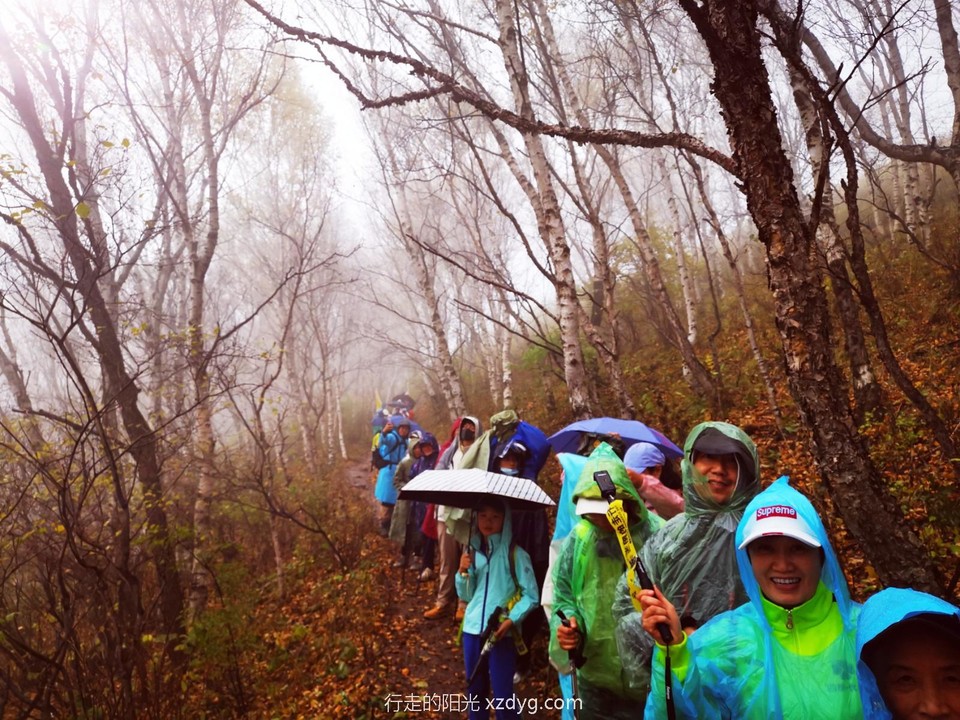 IMG_20211003_144530_edit_224746264151121